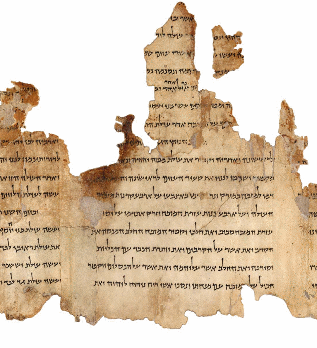 The Temple Scroll from Qumran